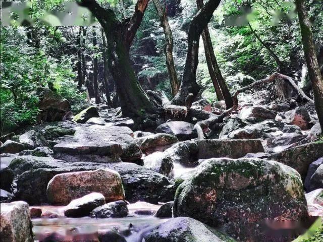 小猫钓鱼正版下载中文版